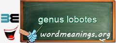 WordMeaning blackboard for genus lobotes
